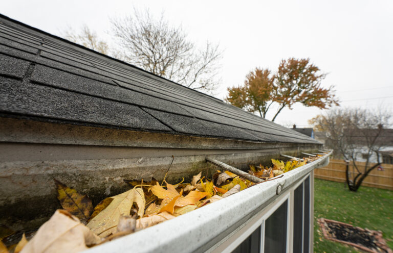 Gutter Cleaning in Broadview Heights