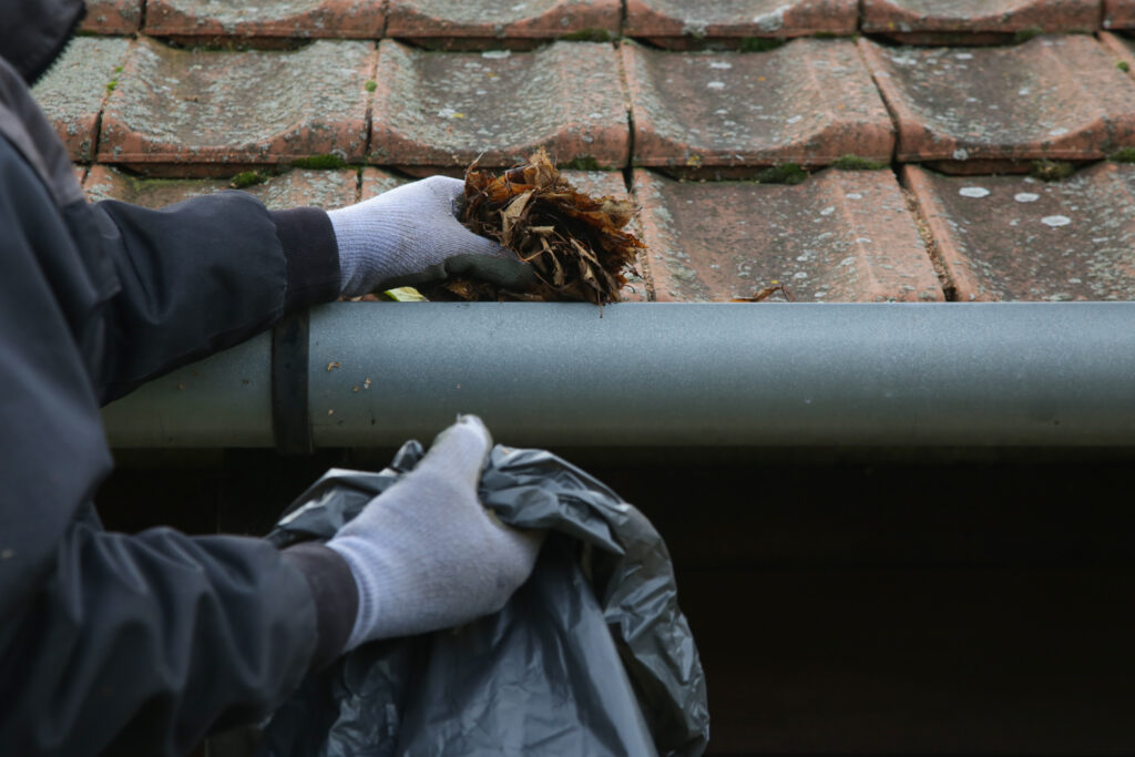 Gutter cleaning in parma