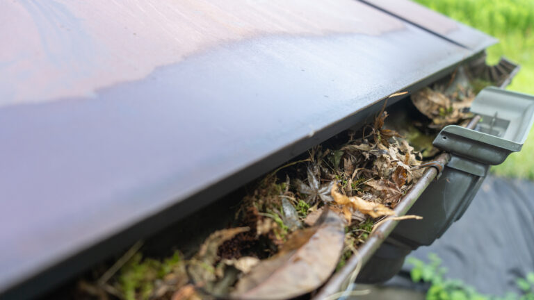 local gutter cleaning