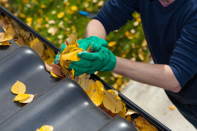 gutter cleaning in north royalton
